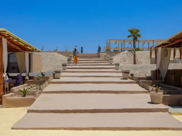 Day Trip to Agafay Desert from Marrakech