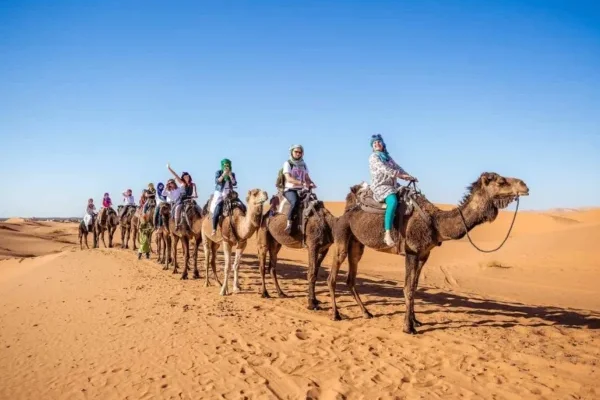 Tour del Marocco di 12 giorni Scopri Casablanca Chefchaouen Fes Sahara Marrakech