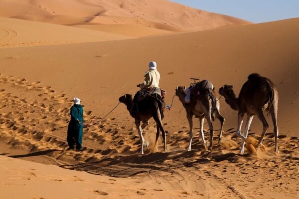 3 Days marrakech desert Tour ​