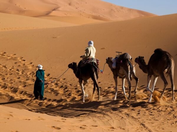 3 Days marrakech desert Tour ​