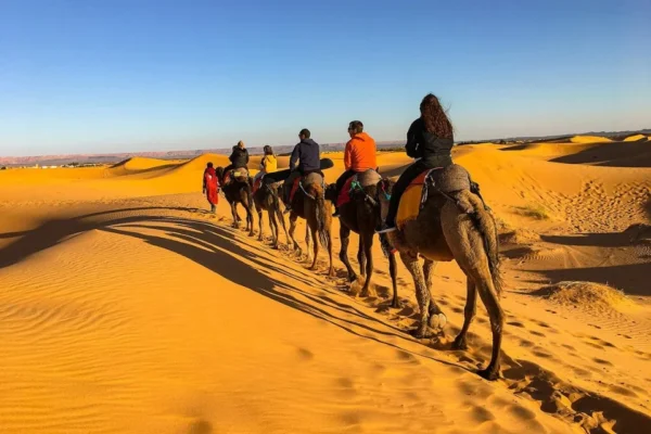 Excursion en camello y Noche en El desierto