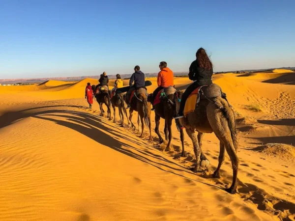 Excursion en camello y Noche en El desierto