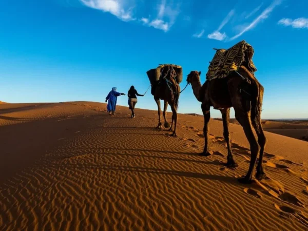 Overnight Camel Trekking in Merzouga