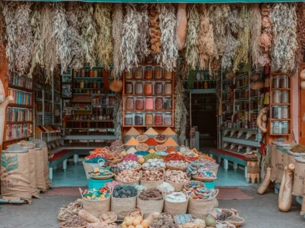 Viaggio di 8 giorni da Marrakech a Ouarzazate e alla Valle del Todgha